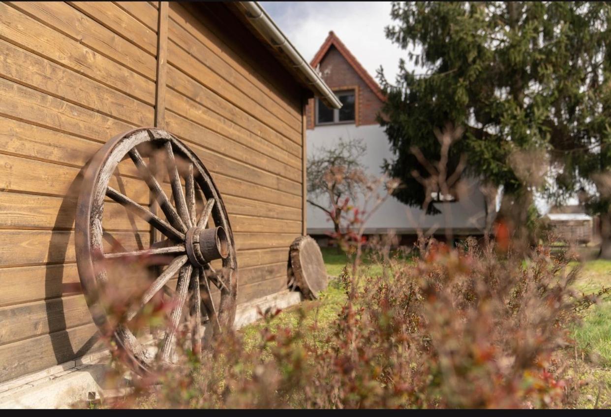 Ferienhaus Leo Boblitz Esterno foto